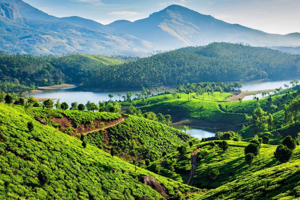 Umaya Travels Munnar Package