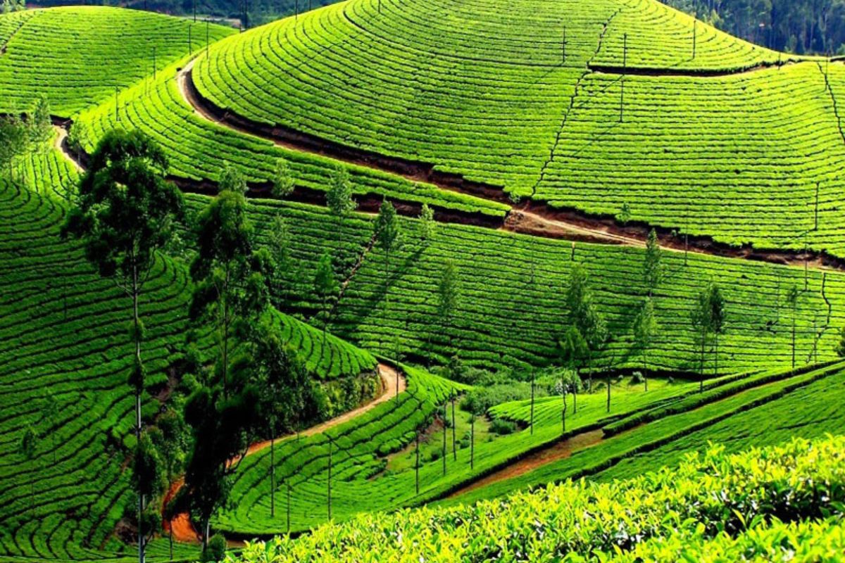 Umaya Travels Ooty Package